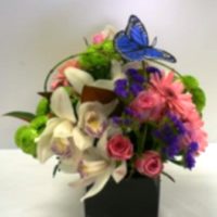 arrangement_container-4