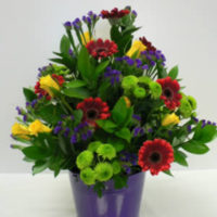 arrangement_in_terracotta_pot-jpg2