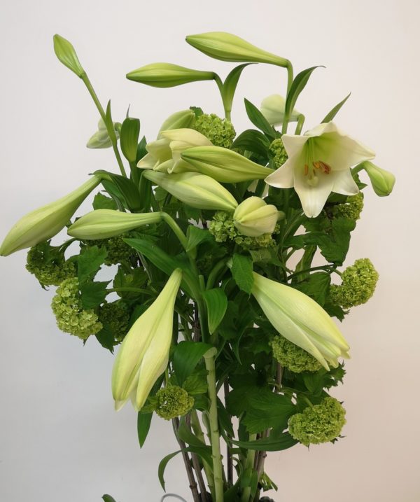 Christmas Lilies x Stems Jan Maree Flowers